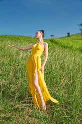 Robe dos nu en organza de soie avec fente jusqu'aux cuisses et jupe fluide pour un style de villégiature et de soirée